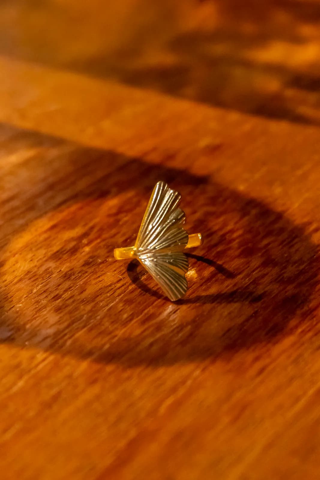 Kipas Fan Ring